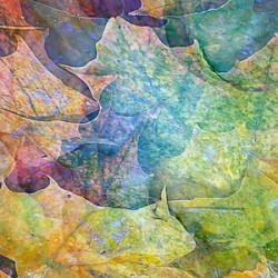 september super natural