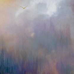 into the mystic