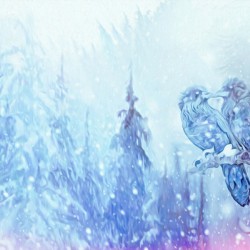 love birds