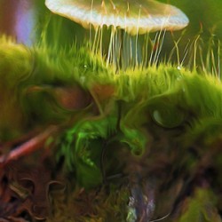 magic underfoot