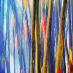 true blue bambooster