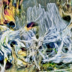 pertrified at low tide