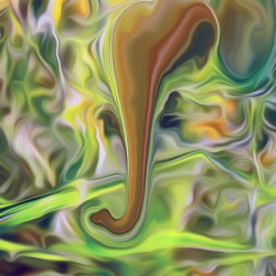 psycadeliphant