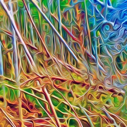 where the wild thigs are