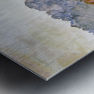 silver spray solo session Metal print