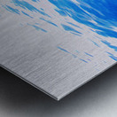 bow pod Metal print