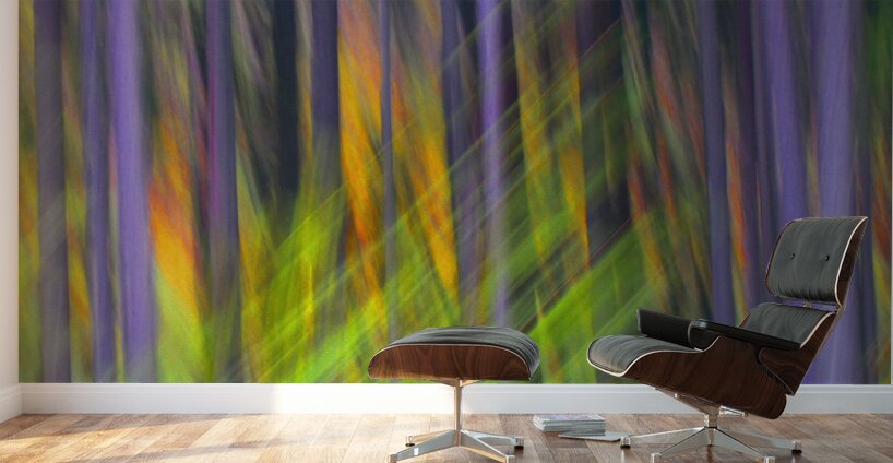 fired up Wall Murals