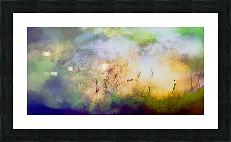 early bird  Framed Print Print