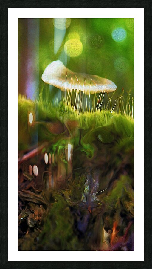 magic underfoot  Framed Print Print