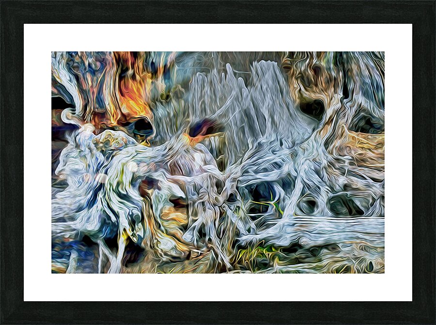 pertrified at low tide Picture Frame print