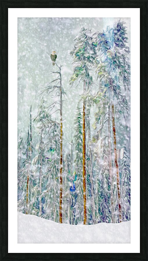 patience  Framed Print Print