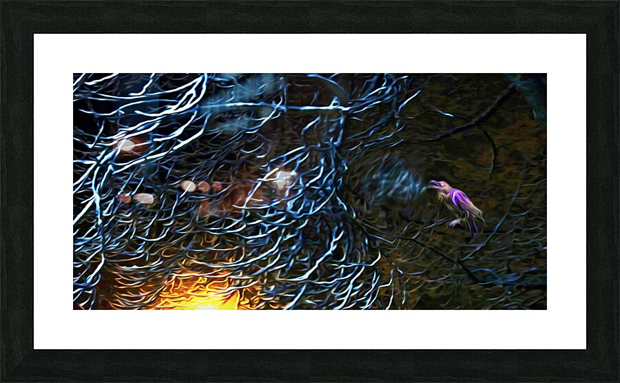 night Caw Cawler : Panoramic Orientation  Framed Print Print