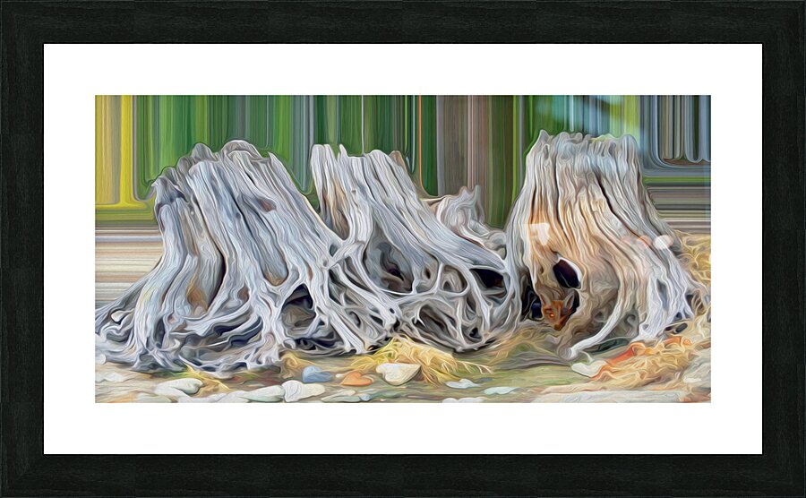 roots heart rocks and a fox  Framed Print Print