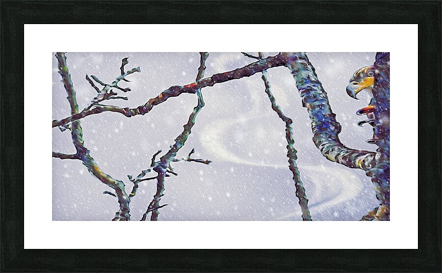 beakaboo panoramic orientation  Framed Print Print