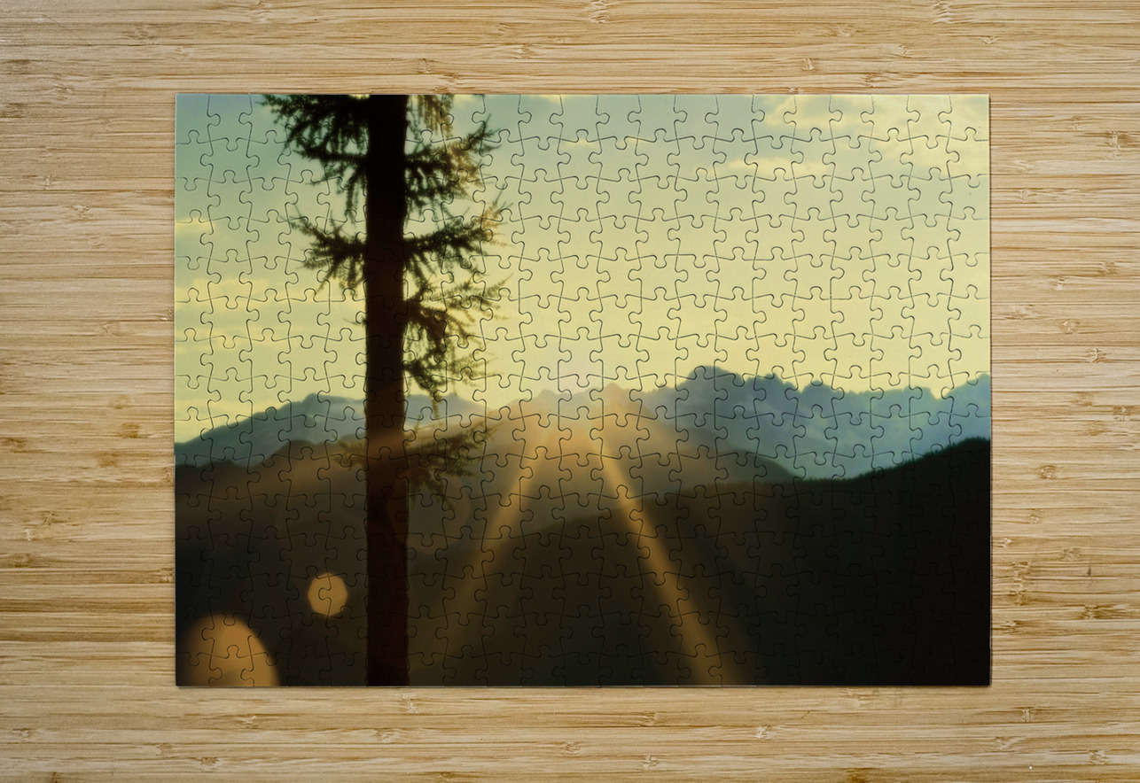 Loki Doki Golden Delight shawn morris creative Puzzle printing