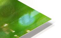 magic underfoot HD Metal print