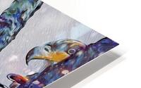 beakaboo   landcape orientaton HD Metal print