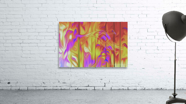 feathers and fire by shawn morris creative