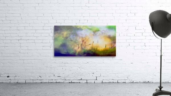 early bird by shawn morris creative