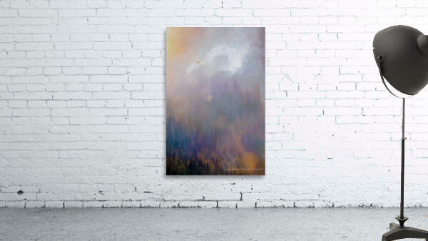 into the mystic by shawn morris creative