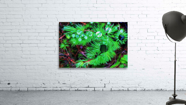 the black pearl of grose morne Wall Preview