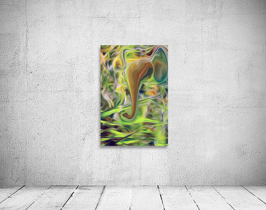 psycadeliphant by shawn morris creative