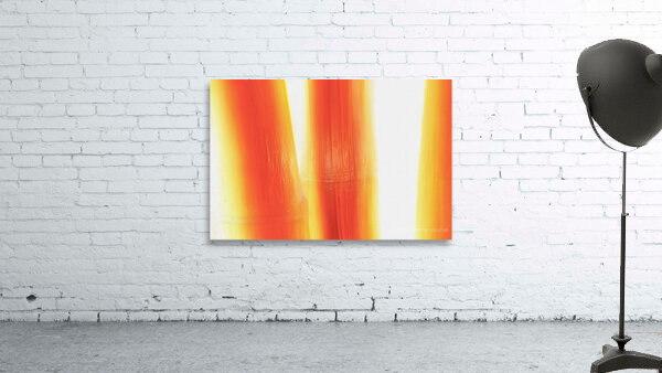 Feather Light bambeautiful by shawn morris creative