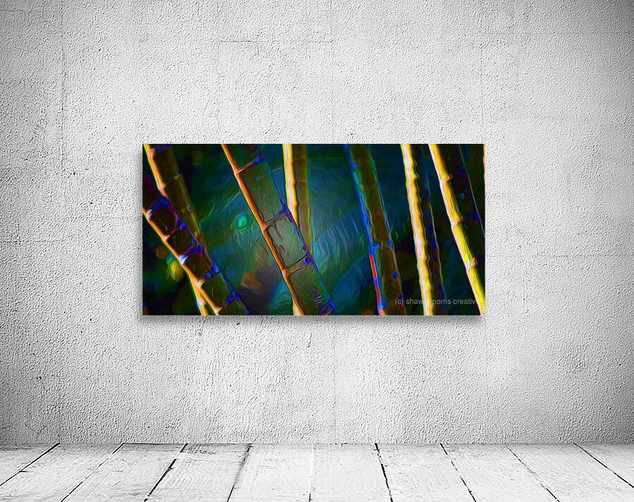 Bamboozled by shawn morris creative